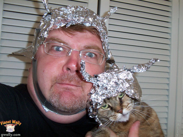 Cat with the tin-foil hat